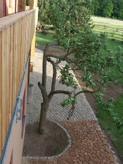 apfelbaumvormhaus